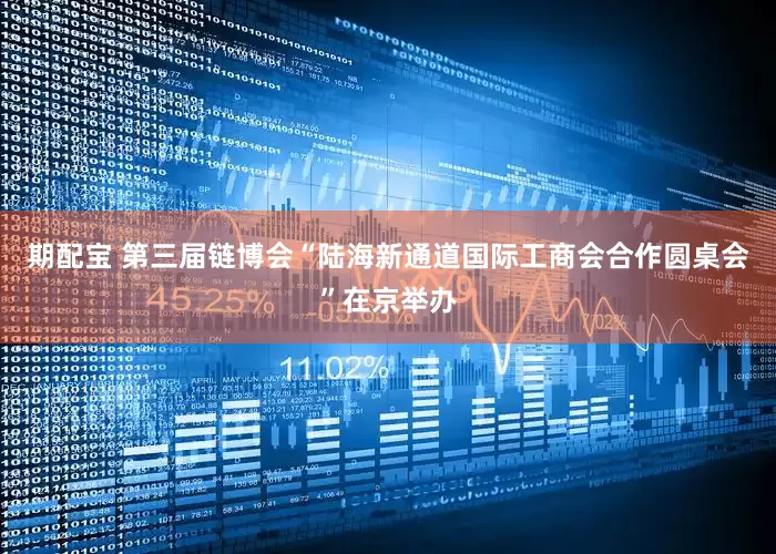期配宝 第三届链博会“陆海新通道国际工商会合作圆桌会”在京举办