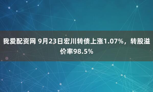 我爱配资网 9月23日宏川转债上涨1.07%，转股溢价率98.5%