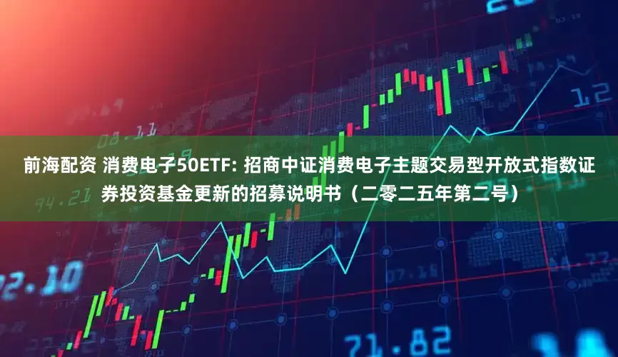 前海配资 消费电子50ETF: 招商中证消费电子主题交易型开放式指数证券投资基金更新的招募说明书（二零二五年第二号）