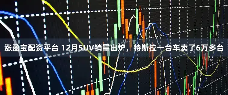 涨盈宝配资平台 12月SUV销量出炉，特斯拉一台车卖了6万多台